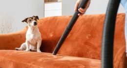 Shark's pet friendly vacuums have anti-hair wrap tech to help you avoid brush head clogs