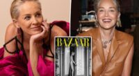 Sharon Stone ditches underwear in dress with sky-high slit