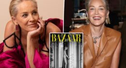 Sharon Stone ditches underwear in dress with sky-high slit