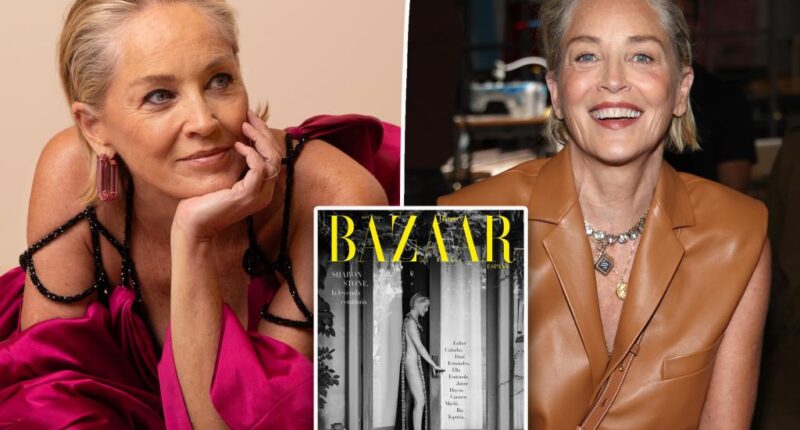 Sharon Stone ditches underwear in dress with sky-high slit