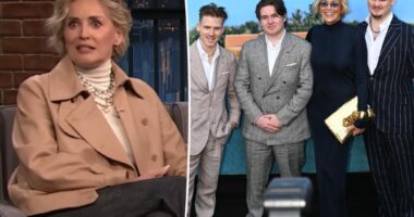 Sharon Stone is wearing 'lady underwear' again now that sons have moved out