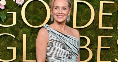 Sharon Stone attending the 82nd Annual Golden Globe Awards earlier this year