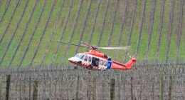 epa12325526 A large contingent of Victorian Police in cluding the air wing and an air ambulance at a staging area at Feathertop Winery in Porepunkah in Victoria, Australia, 27 August 2025. A significant search is underway for a "heavily armed" fugitive involved in the 'cold-blooded murder" of two police officers.  EPA/SIMON DALLINGER NO ARCHIVING AUSTRALIA AND NEW ZEALAND OUT   NO ARCHIVES NO ARCHIVES NO ARCHIVES NO ARCHIVES NO ARCHIVES