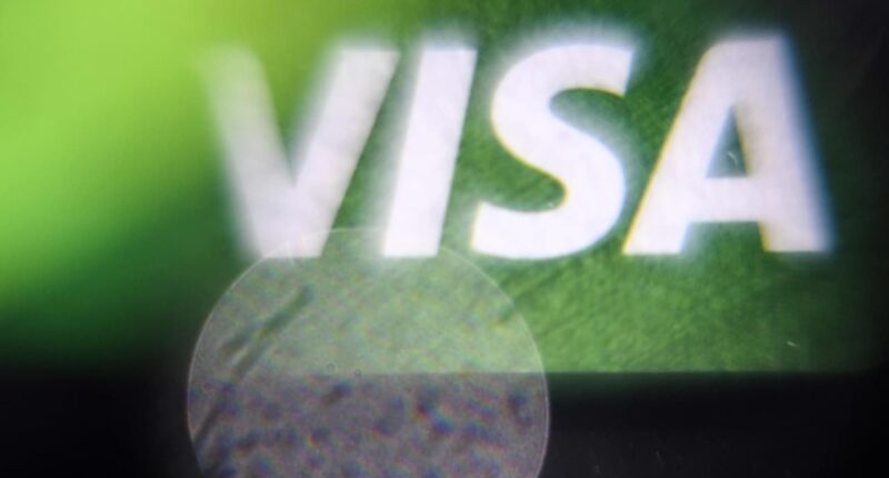 Skeptical on AI? UBS offers alternatives including Visa, BYD and the maker of Labubu dolls