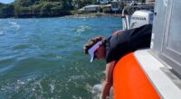 Some 55 million gallons of sewage are threatening Hawaii’s coral reefs