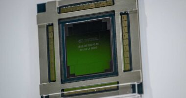 Soros, Appaloosa boost their Nvidia stake. They also bought this beaten-down stock, and it’s rallying.