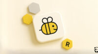 Spelling Bee Hints, Answers For 19-August-2025