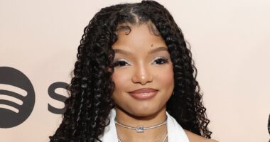 Date Night Vibes! Halle Bailey Is Spotted Out With New Boo At Restaurant In Los Angeles (EXCLUSIVE VIDEO)