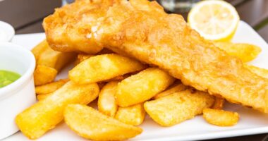 Squid and chips? How UK’s warming waters could change which fish we eat