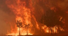 Stark warning issued following wildfires across Spain
