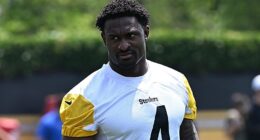 Steelers' 'Next Best' WR of Camp Behind DK Metcalf Is Concerning
