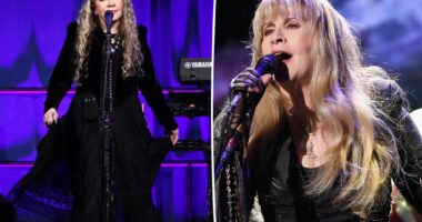 Stevie Nicks pulls out of concert dates due to fractured shoulder