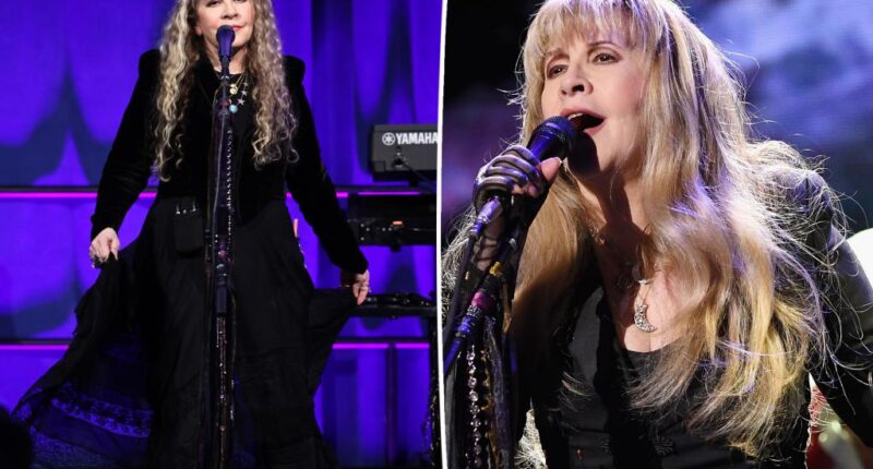Stevie Nicks pulls out of concert dates due to fractured shoulder