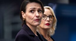 Suranne Jones and Julie Delpy's Netflix Political Thriller Miniseries Is the Perfect 'Diplomat' Replacement