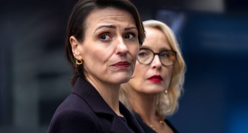 Suranne Jones and Julie Delpy's Netflix Political Thriller Miniseries Is the Perfect 'Diplomat' Replacement
