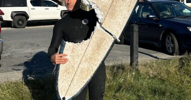 Surfer Brad Ross (pictured) narrowly avoided a shark attack at Cabarita Beach on Monday morning