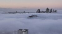 A thick blanket of fog covered Sydney's skies on Tuesday morning, sparking widespread chaos