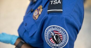 TSA has added a few new common things to its list of prohibited items, so make sure you never try to travel with them in your suitcase (stock photo)
