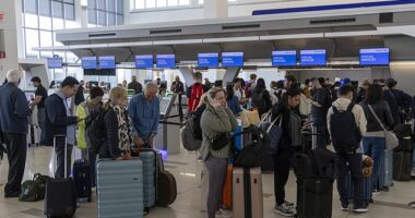 Traveling with young kids just got a little easier at select airports as TSA has launched a program that offers dedicated security lanes for families with children (stock image)