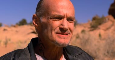 TV's Only Perfect Episode Has A 10/10 IMDb Score But Almost Ruined Its Show