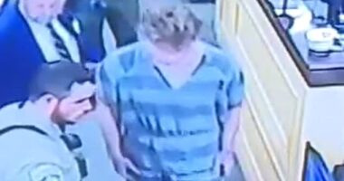 Andrew James McGann, 28, appears in court for the first time since he was charged with the murders of Cristen and Clinton Brink