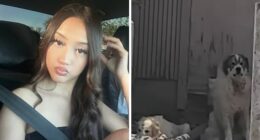 Teen Daughter’s Heartbreaking Question To Mom After Being Mauled By Pack Of Dogs