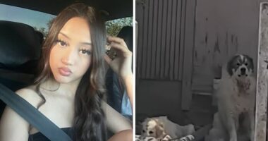 Teen Daughter’s Heartbreaking Question To Mom After Being Mauled By Pack Of Dogs