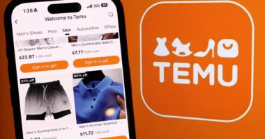 Temu’s parent company is trying to fend off competition from Alibaba — but it’s a costly fight