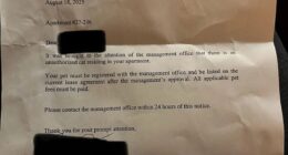 A tenant has revealed a bizarre warning letter from the property manager accusing them of keeping an 'unauthorised cat' in the apartment