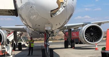 Iberia Flight IB579 was forced to land back in Madrid after it was reportedly struck by a large bird during takeoff