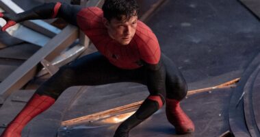 Tom Holland crouches as Spider-Man in No Way Home