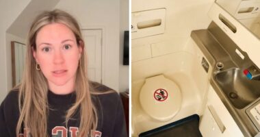 “The Embarrassment”: Woman’s In-Flight Diarrhea Nightmare Forces Plane To Land Early