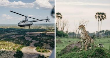 The Okavango Delta Is Africa’s Hidden Eden: My 33 Photos With Facts Prove Why