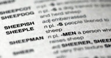 The Press Turns to Tortured New Terminology As They Lose Their Grip on the Language… and Their Sanity – RedState