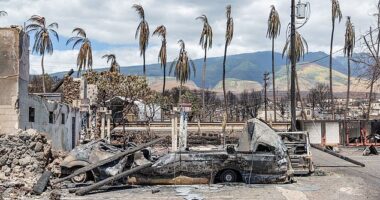 The Lahaina wildfire in August 2023 was the deadliest in America's history, with official tolls estimating it killed 102 people (file photos of the aftermath of the fires in Lahaina in 2023)
