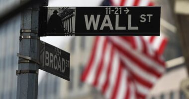 The entire stock market is being carried by these four AI stocks