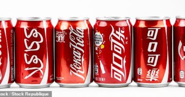 RWS has helped companies from Coca Cola to the London Stock Exchange to translate documents, websites and manuals into hundreds of languages