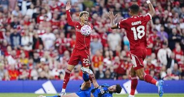 Liverpool players were left aggrieved after Marcos Senesi seemingly handled the ball as Hugo Ekitike was through on goal