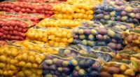 The mystery of the first potatoes has finally been solved – and a tomato was involved