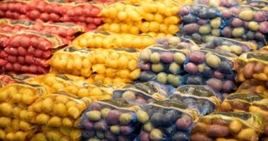 The mystery of the first potatoes has finally been solved – and a tomato was involved