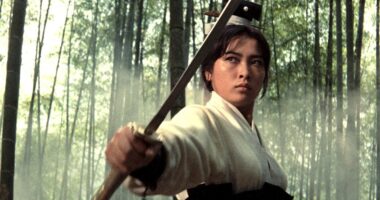 There’s Never Been a Martial Arts Epic Quite Like This Otherworldly Masterpiece With 97% Rotten Tomatoes