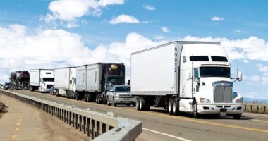 There's a Petition on Behalf of Illegal Alien Trucker Accused of Vehicular Homicides – RedState