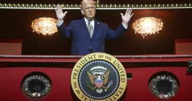 They Can't Let Sydney Sweeney Be Hot – HotAir