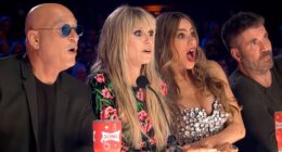 This 'America's Got Talent' Act Wasn't Just Risky — It Nearly Took Out Two Judges