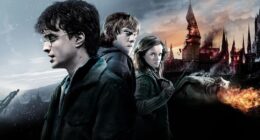 This Controversial Harry Potter Character Needs To Be Cut From the Upcoming HBO Series