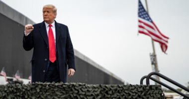 Trump Border Mass Deportations