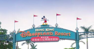 A tourist has died at a Disneyland after passing out on it's famous Frozen ride