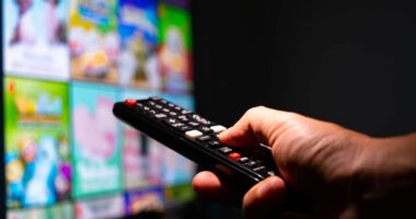 Trade Desk’s stock tumbles after earnings. Are investors being too harsh?