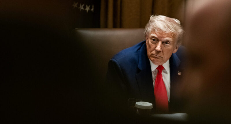Trump Demands Intel CEO Linked to China Resign, 'There Is No Other Solution.'