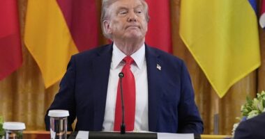 Trump Is Like Hitler Because He Wants People to Be Fit – HotAir